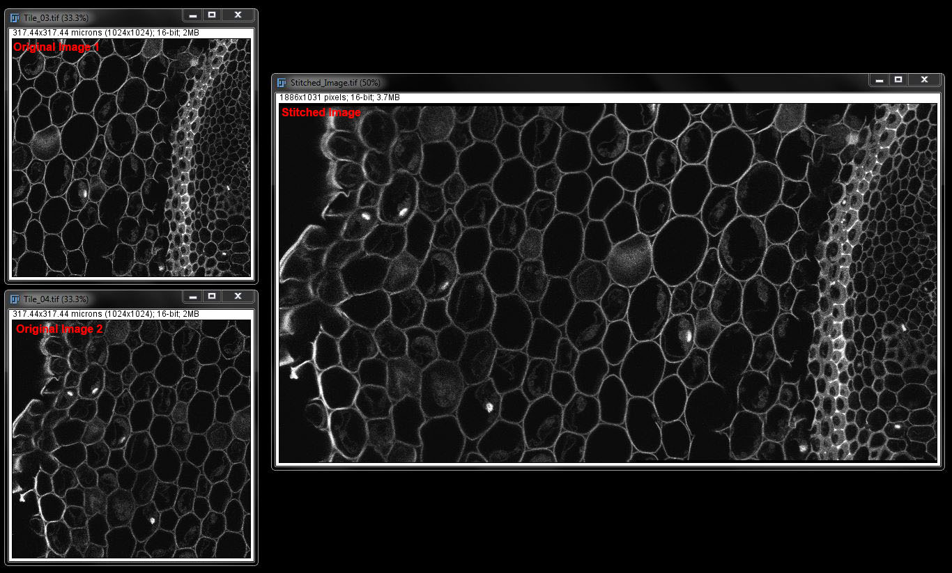 PART 5 IMAGE ALIGNMENT · Fiji Intermediate